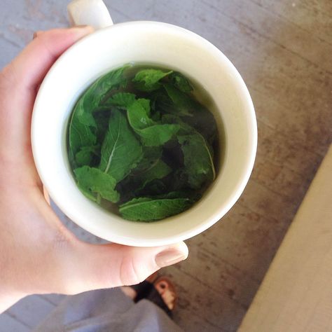 Fresh Mint Tea from Boiling Mint Leaves Recipe on Food52, a recipe on Food52 Mint Leaves Recipe, Mint Tea Recipe, Fresh Mint Tea, Mint Tea, Fresh Mint Leaves, Tea Recipe, Vegetarian Paleo, Mint Leaves, Fresh Mint