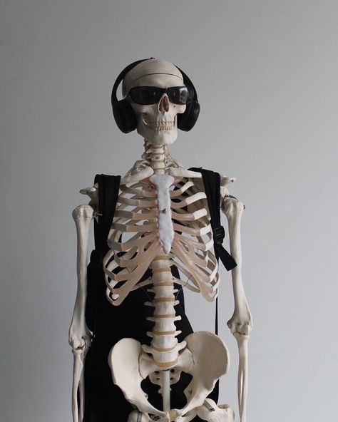 Skeleton Memes, Grunge Skeleton, Skeleton Aesthetic, Skeleton Pics, Skeleton Photo, Silly Skeleton, Funny Skeleton, A Skeleton, Halloween Inspiration