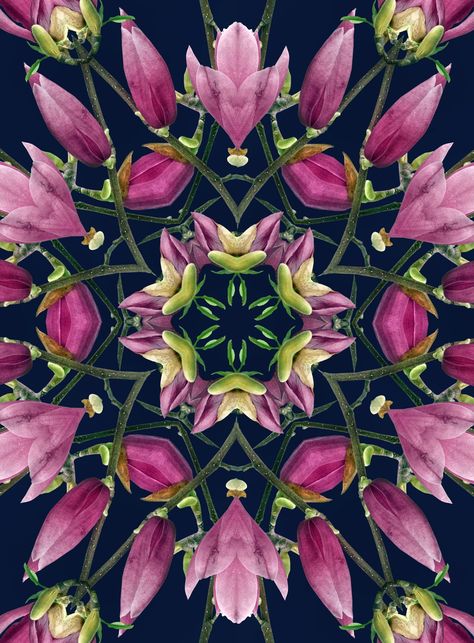 Symmetrical Illustration, Symmetrical Flowers, Flowers Collage, Home Music Rooms, Maximalist Art, Pattern Design Inspiration, Optical Illusions Art, Pressed Flower Art, Collage Illustration