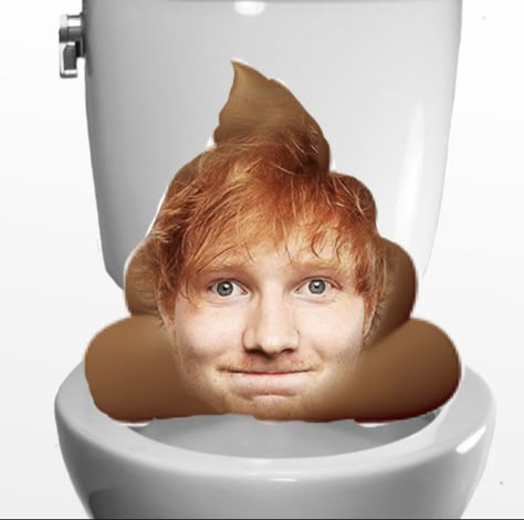 Cursed Ed Sheeran Pics, Ed Sheeran Cursed Funny, Funny Pfp Ed Sheeran, Ed Shiran, Edd Sheeran Memes, Ed Sheeran Memes, Ed Sheeran Facts, Ed Sheeran Love, God Help Me