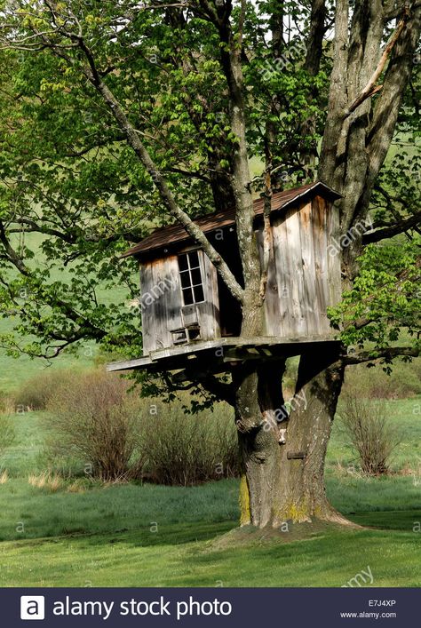 Download this stock image: Wonderful Old Treehouse in the Country. - E7J4XP from Alamy's library of millions of high resolution stock photos, illustrations and vectors. Old Treehouse, Treehouse Aesthetic, Rustic Treehouse, Forest Village, Cool Tree Houses, Rural Scenes, Wood Tree, Garden Buildings, Teds Woodworking