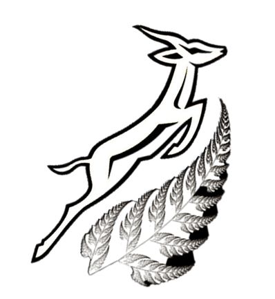 All About Me Preschool Theme, Me Preschool Theme, Springbok Rugby, Drawing Designs, Silver Fern, Neck Tattoo, Rock Art, Fern, Tattoo Ideas