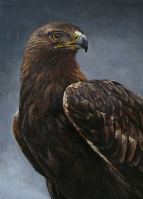 Golden Eagle Aesthetic, Eagle Oil Painting, Eagle Quotes, Golden Eagle Art, Bald Eagle Painting, Golden Eagle Painting, Eagle Portrait, Golden Eagle Falconry, Bass Fishing Shirts