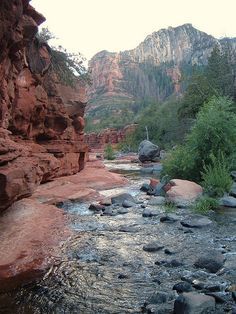 Oak Creek Canyon Arizona, Slide Rock State Park, Oak Creek Canyon, Arizona Adventure, Matka Natura, Arizona Travel, Phoenix Arizona, Pretty Places, Vacation Spots