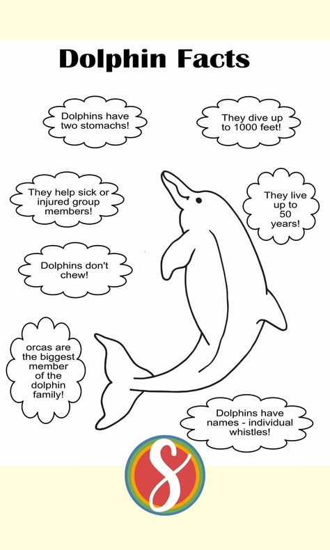 Free dolphin facts coloring page from Stevie Doodles - 11 free dolphin coloring pages! Print and color this page with fun dolphin facts free today #dolphinfacts #animalfacts #freedolphinfactsprintable #dolphinfactsactivitysheet #educationaldolphinactivity #dolphinactivities #dolphinfactscoloringpage Dolphin Facts For Kids, Dolphin Craft, Dolphin Facts, Dolphin Coloring Pages, Free Kids Coloring Pages, Cowgirl Nursery, Animal Crafts For Kids, Animal Projects, Free Printable Coloring