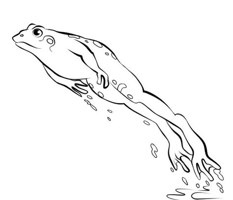 Jumping Frog Coloring Pages Sketch Coloring Page Frog Leaping Drawing, Frog Jumping Illustration, Jumping Frog Tattoo, Frog Jumping Drawing, Toad Jumping, Frog Coloring Pages Free Printable, Frog Sketches, Frogs Jumping, Frog Posters