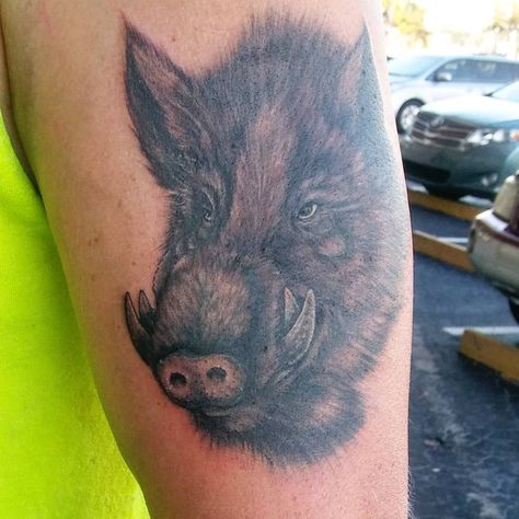 Wild boar Tattoo, boar tattoo, boar tattoo designs, japanese boar tattoo, traditional boar tattoo, traditional japanese boar tattoo, princess mononoke boar tattoo, neo traditional boar tattoo, american traditional boar tattoo, viking boar tattoo, wild boar tattoo meaning, norwegian wild boar tattoo, boar tattoo sketch, lions and boar tattoo, rose boar tattoo, pictish boar tattoo, wild boar tattoo designs, wild boar tattoo asian, gaelic celtic boar tattoo, cool chinese boar tattoo Wild Hog Tattoo, Traditional Boar Tattoo, Hog Tattoo, Wild Boar Tattoo, Boar Tattoo, Tattoo Designs Japanese, Daniel Tattoo, Tattoo American Traditional, Tattoo Cool