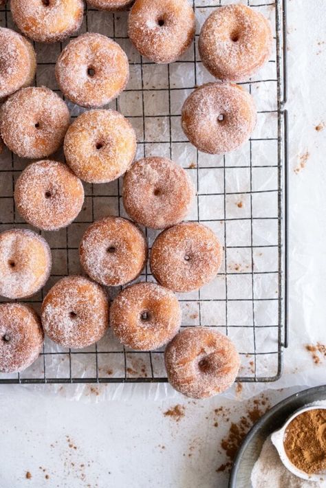 Brioche Doughnuts, Cloudy Kitchen, Brioche Donuts, Doughnut Recipes, Brioche Dough, Bubble Tea Straws, Mini Doughnuts, Sugar Donut, Kolaci I Torte