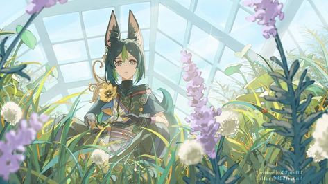 Tighnari Wallpaper, Fox Boy, Forest Fox, Wallpaper Pc, Ipad Wallpaper, Image Boards, Pretty Art, Anime Images, Anime Character