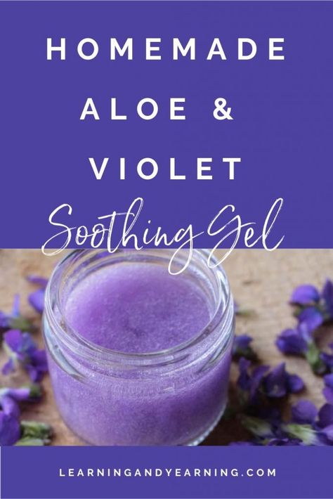 Violet-Infused Aloe Soothing Gel Healing Salve Recipe, Wild Violets, Herbal Remedies Recipes, Salve Recipes, Herbal Salves, Ginger Water, Skincare Natural, Homemade Lotion, Herbal Recipes