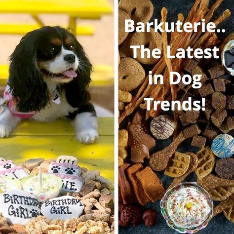 Deli Platters, Dog Restaurant, Dog Trends, Diy Dog Food, Welcome Home Parties, Dog Treats Homemade Recipes, Dog Bakery, Puppy Treats, Dog Cakes