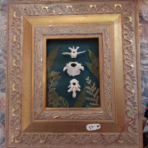 Skull Decor Diy, Oddities Art, Moody Maximalism, Creepy Crafts, Skull Ideas, Oddities Decor, Entomology Art, Bone Collector, Skull Crafts