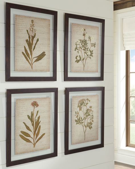 Wall Art Set Of 4, Framed Botanical Prints, Brown Wall Art, Framed Botanicals, Framed Wall Art Sets, Glass Printing, Wall Decor Set, Dining Room Kitchen, Botanical Wall Art