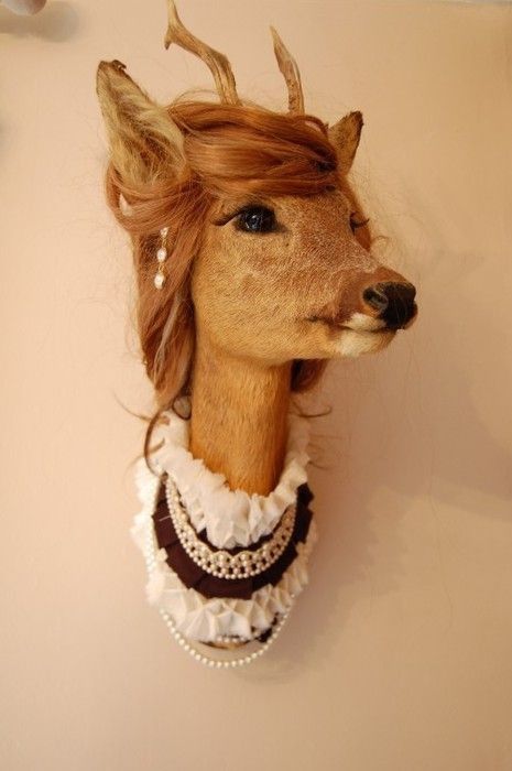 Girly deer Bad Taxidermy, Estilo Kitsch, Taxidermy Art, Faux Taxidermy, Oh Deer, A Deer, Deer Head, Animal Heads, Cool Stuff