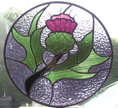 The round design stained glass thistle that Cheney chooses to hang in the front window of Gannon's Glen. Kitchen Flowers, Flowers Stained Glass, Window Flowers, Painted Glass Art, Stained Glass Decor, Stained Glass Suncatchers, Stained Glass Flowers, Stained Glass Crafts, Scottish Thistle