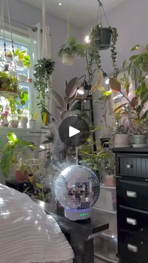 4.5K views · 653 reactions | My new favorite🪩⬇️

I never knew how much I needed a disco ball until now. And it’s a diffuser!!!

This is from @scandinordica and it’s becoming a staple in my space. 
Comment “sparkle” for the link!

(Side note, I miss this cute little plant corner🥹)

Disco balls: yay or nay?🌱

#houseplants #plantcare #planttips #plantstyling #disco #discoballdiffuser #discoball #discodecor | Karlie G. | Sugartapes · Romantic Disco Decorations, Disco Balls, Disco Ball, I Missed, How To Become, Sparkle, Home Decor