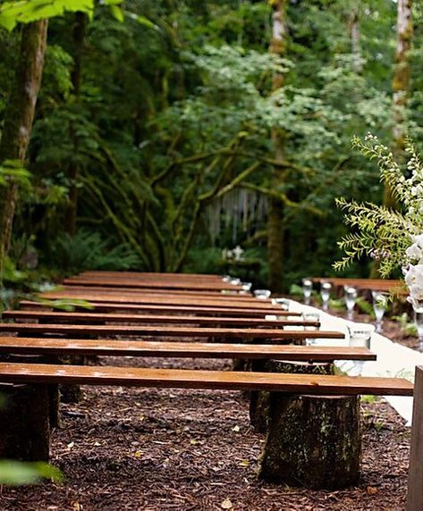 Natural Log Bench | supply-events Outdoor Wedding Seating, Log Bench, Wedding Ceremony Seating, Diy Outdoor Seating, Diy Outdoor Weddings, Backyard Wedding Ceremony, Tree Stumps, Seating Ideas, Ceremony Seating