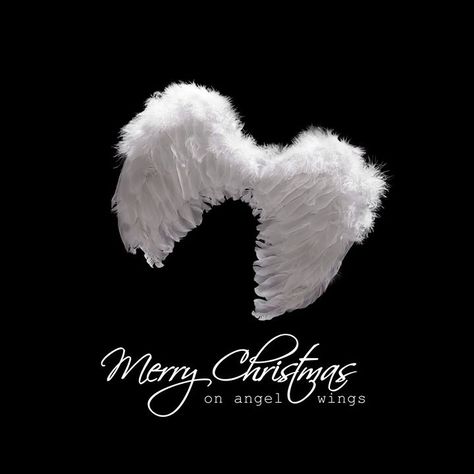 Merry Christmas my sweet angel!! Love and miss you!! Loved One In Heaven, White Angel Wings, White Angel, My Beautiful Daughter, Christmas Greeting Card, Black Image, Wedding Goals, Christmas Greeting, Christmas Greeting Cards