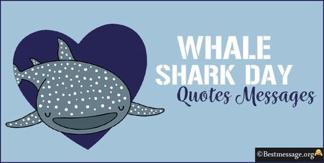 Whale Shark Day Sharks Quotes, Whale Shark Quotes, Ganesh Chaturthi Messages, Monday Shark Quote, Gowri Ganesha, Shark Quotes Inspirational, Gowri Ganesha Wishes, Captions Whatsapp, Shark Quotes