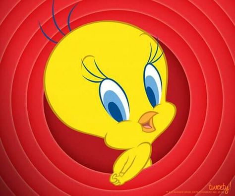 Tweeties 1st tv show was called tweetie pie Tweety Bird Drawing, Tweety Bird Quotes, Looney Tunes Space Jam, Looney Tunes Wallpaper, 1980s Childhood, Bird Quotes, Bird Drawing, Bird Birthday, Comic Characters