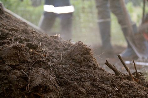 Photo courtesy of Nadia Lawton. Taken at PRI Zaytuna Farm. What Is Compost, Effective Microorganisms, Compost Mulch, Garden Mulch, Living Sustainably, Crop Production, Compost Tea, Improve Soil Quality, Plant Diseases