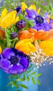 Deserve To Be Happy, Morning Board, Spring Floral Arrangements, Good Morning Images Flowers, Wallpaper Nature Flowers, Flower Background Wallpaper, Beautiful Flowers Wallpapers, Beautiful Flower Arrangements, Beautiful Rose Flowers