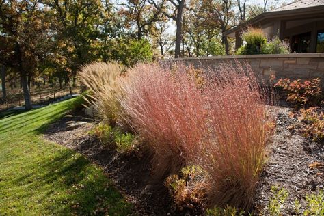 Native ornamental grasses provide big benefits to Minnesota gardens - StarTribune.com Plant Landscaping Ideas, Exterior Landscape Ideas, Deck Pool Ideas, Native Plant Landscaping, Minnesota Garden, Heather Gardens, Native Plant Landscape, Lake Landscaping, Native Landscaping