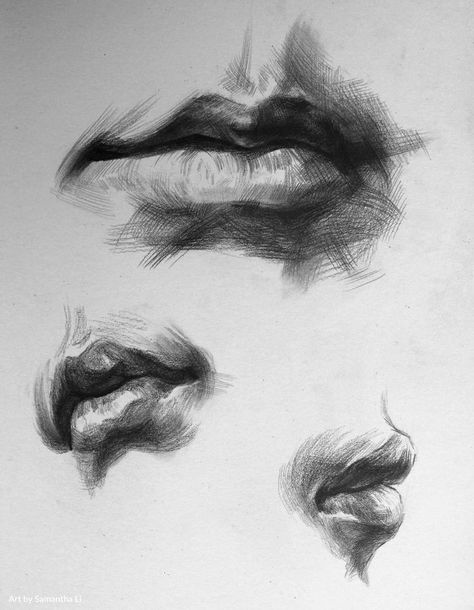 Lips Study Drawing, Lip Study Drawing, Painting Lips Art, Mouth Drawing Reference Realistic, Lips Anatomy Drawing, Lip Anatomy Drawing, Lips Drawing Realistic, Lip Reference Drawing, Realistic Lips Sketch