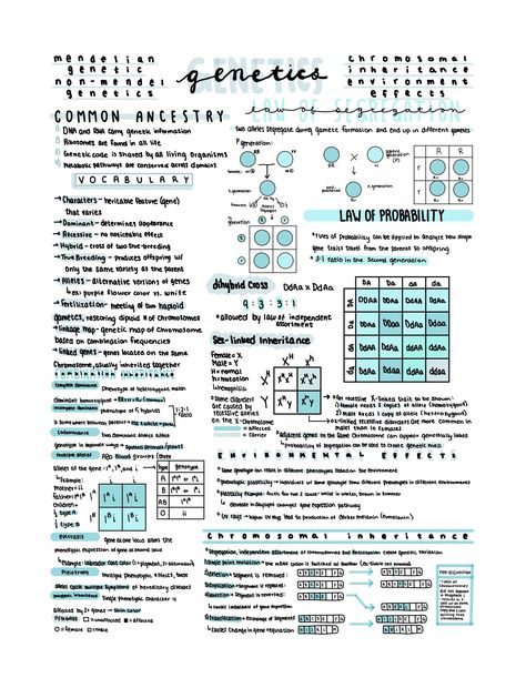 Ace your AP Biology AP Exam with this complete, condensed review of the material covered in Unit 5 of AP Biology! Ap Exam, Biochemistry Notes, Review Notes, Learn Biology, Biology Revision, School Study Ideas, Nurse Study Notes, Exam Study Tips, Study Tips For Students