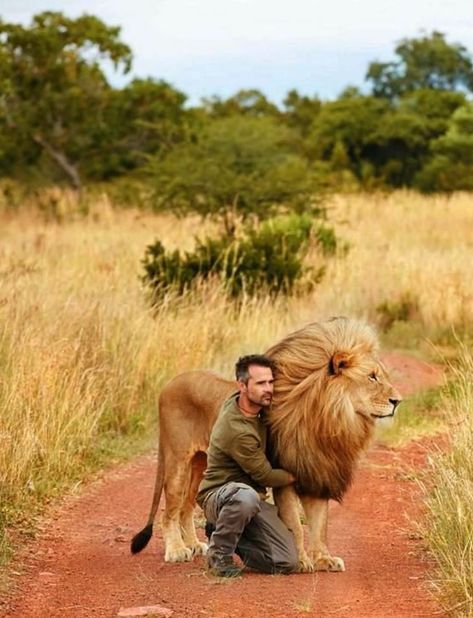 Lion Whisperer, Kelly Slater Surfing, Kevin Richardson, Big Animals, Hyena, African Animals, Special People, Big Cats, Wild Cats