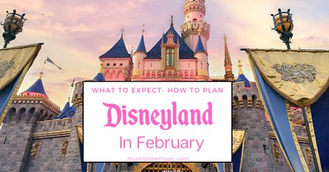 Visiting Disneyland in February? I've got all the info you need to know. Including ticket deals, ride closure info and weather tips. Disneyland In February, Disneyland, Need To Know, How To Plan, Travel