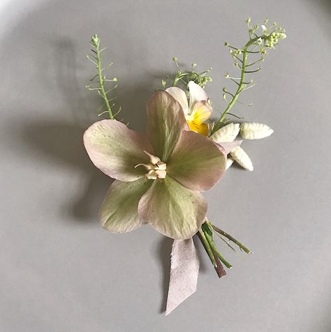 Hellebore and pansies by Wilder Flowers Santa Cruz Pansy Boutonniere, Hellebore Arrangement, Pansy Bridal Bouquet, Hellebore Boutonniere, Stinking Hellebore, Pink Hellebore, Forest Pansy, Green Boutonniere, Green Wedding