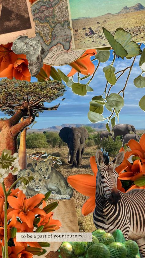 Fashion Wallpaper Aesthetic, Safari Art, African Pattern Design, Travel Collage, Instagram Collage, Vision Board Pictures, Africa Safari, Plant Wallpaper, Fashion Wallpaper