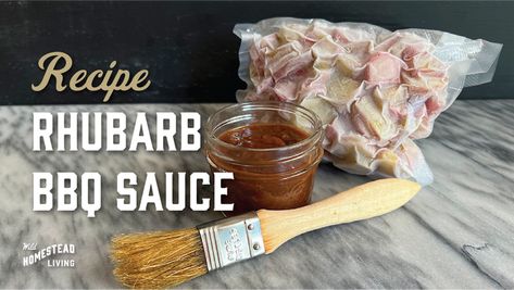 Wild Homestead Living— Recipe: Rhubarb BBQ Sauce Sanford Profile, Paleo Sauce, Lake Recipes, Induction Recipes, Meat Barbecue, Keto Condiments, Jorge Cruise, Smoked Recipes, Fresh Rhubarb