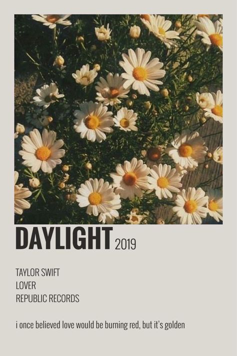 Daylight Taylor Swift Aesthetic, Taylor Swift Polaroids, Daylight By Taylor Swift, Taylor Swift Polaroid Poster, Daylight Taylor Swift, Taylor Swift Polaroid, Taylor Swift Playlist, Taylor Swift Aesthetic, Playlist Covers Photos