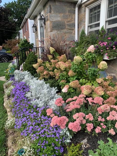 Hydrangea Bushes In Front Of House, Bushes In Front Of House, Side Yard Landscaping, Hydrangea Bush, Cypress Trees, In Front Of House, 2025 Vision, Front Yard Garden, Side Yard