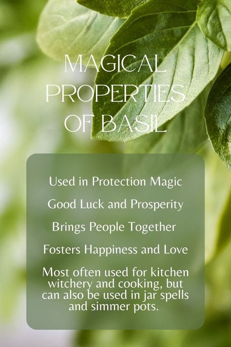 Basil Witchcraft, Jar Spells, Spell Jars, Magic Herbs, Kitchen Witchery, Hedge Witch, Boss Babe Quotes, Babe Quotes, Health Business