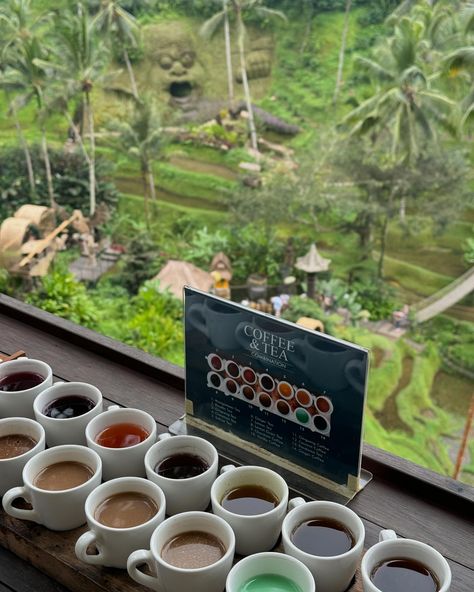 Ubud you have my 🫀🥹 #balidiaries #travelinspiration #ubudbali #dreamholiday #pinterestinspired #pinterestaesthetic #islandlife #londongirl Ginger Coffee, Dream Holiday, Ubud, Island Life, Boutique Hotel, Lemonade, Travel Inspiration, Bali, Hotel