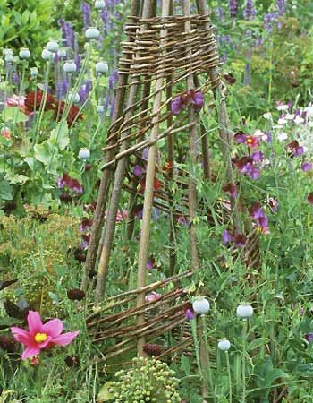 Wigwam and sweet peas Wigwam Diy, New Garden Ideas, Cornwall Garden, Growing Sweet Peas, Naturalistic Garden, Gardeners World, Natural Fence, Hudson Homes, Garden Design Layout