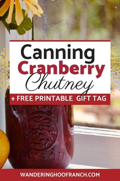 Cranberry Chutney Canning Recipe with a Simple Twist Cranberry Chutney Recipe, Apple Chutney Recipe, Easy Canning, Canned Cranberries, Cranberry Jelly, Canning Peaches, Ginger Chutney, Canning Fruit, Apple Chutney