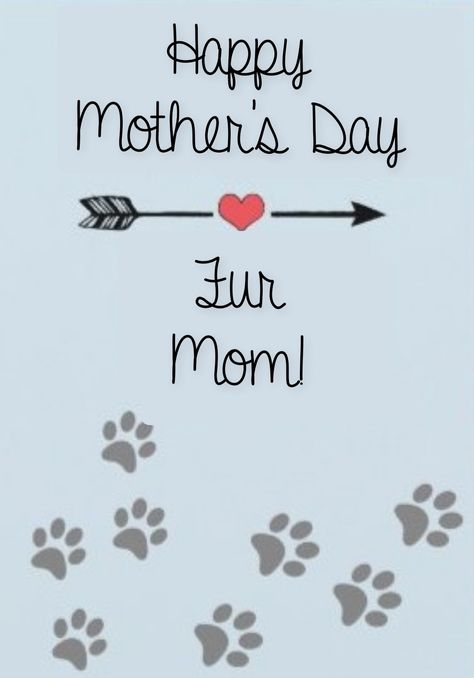 Happy Mothers Day Fur Mom, Happy Fur Mom Day, Fur Mom Mothers Day, Happy Mothers Day Messages, Activist Art, Birthday Wishes For Mom, Mother Day Message, Fur Mom, Happy Mother