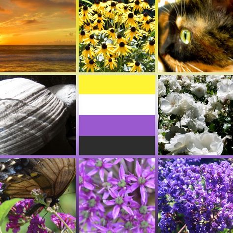 Genderless Aesthetic, Non Binary Aesthetic, Lgbt Art, Queer Art, Mood Board Inspiration, Colour Board, Cute Memes, Lgbtq Pride, Couple Aesthetic