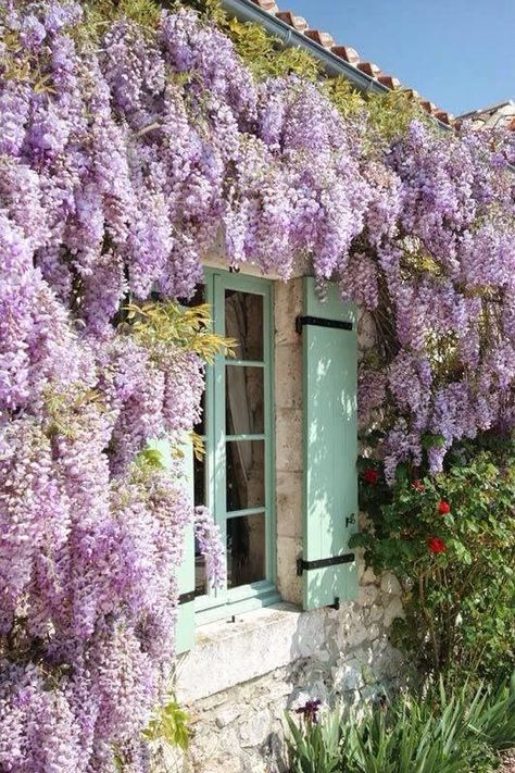 Balinese Decor, Pergola Ideas, French Windows, French Chateau, Kelly Wearstler, Garden Cottage, Dream Garden, Wisteria, Cottage Garden