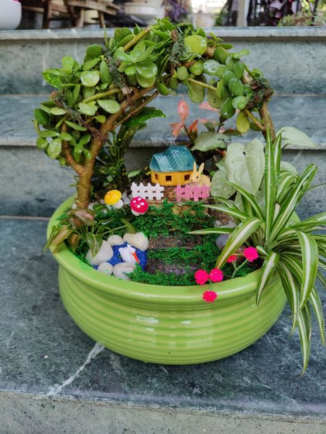 Diy miniature pot Succulent Candles, Miniature Pot, Fairy Garden Pots, Tulsi Plant, Succulent Flowers, Indoor Fairy Gardens, Succulents Candles, Jade Design, Mini Zen Garden