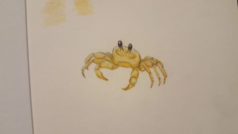 One of my best friends drew this Sand Crab Tattoo, Bujo Drawings, Nc Tattoo, Crab Tattoo, Sand Drawing, Dont Trust People, Best Zodiac Sign, Drawings Of Friends, Design Drawings