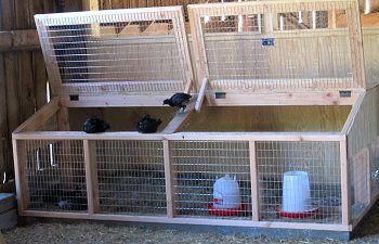 Yard Chickens, Reban Ayam, Brooder Box, Chicken Brooder, Chicken Pen, Chicken Life, Backyard Chicken Farming, Keeping Chickens, Chicken Coop Plans