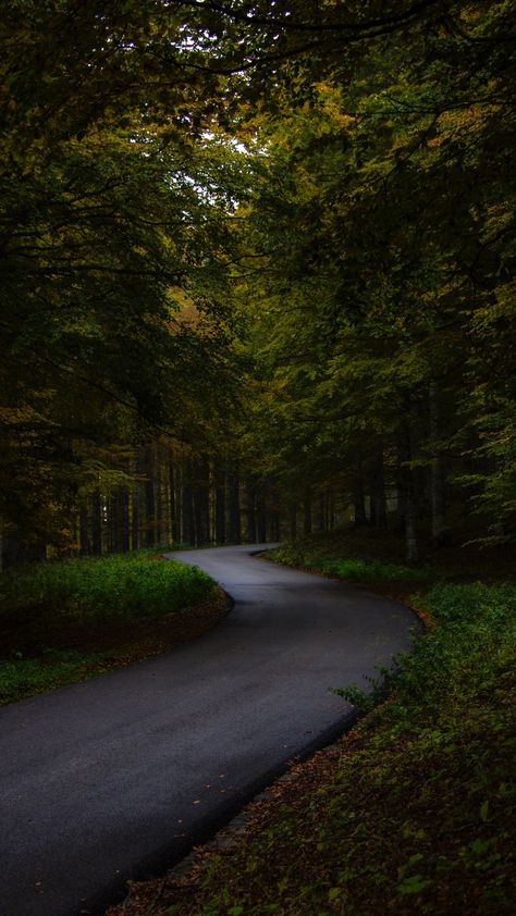 1080x1920 Garden, asphalt road, green tree wallpaper Green Tree Wallpaper, Best Nature Images, Asphalt Road, Dark Landscape, Hd Nature Wallpapers, Pretty Landscapes, Tree Wallpaper, Green Tree, Aesthetic Photography Nature