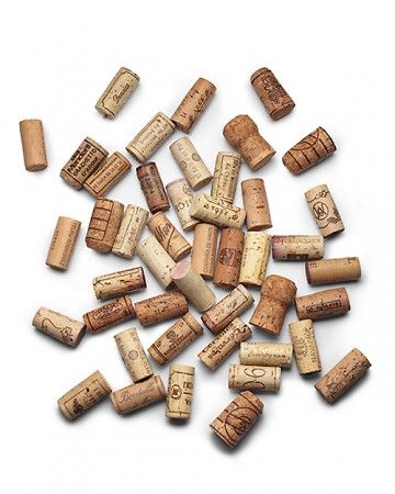 Slice a cork into disks and attach them to the bottom of a planter to allow drainage or to the saucer to protect surfaces. Plants 101, Recycling Projects, Cork Projects, Wine Bottle Corks, Coarse Salt, Diy Casa, Bottle Corks, Domestic Goddess, Wine Corks