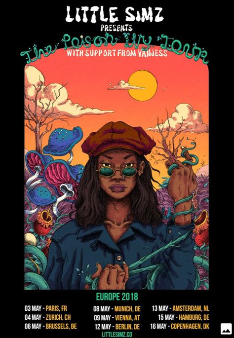 🔥Little Simz🔥 Little Simz, Feminist Poster, Vintage Music Posters, Comic Poster, Tour Posters, Rap Music, Vintage Music, Room Wall Decor, My New Room