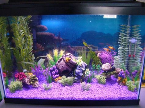 20 Gallon Long Aquarium, 20 Gallon Fish Tank, Aquarium House, Long Aquarium, Goldfish Breeding, 20 Gallon Aquarium, 10 Gallon Fish Tank, Fish Tank Ideas, Goldfish Aquarium